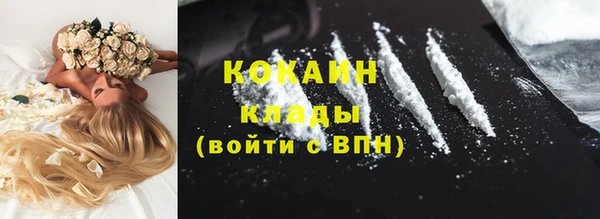 эйфоретик Тавда