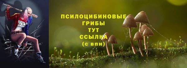 эйфоретик Тавда