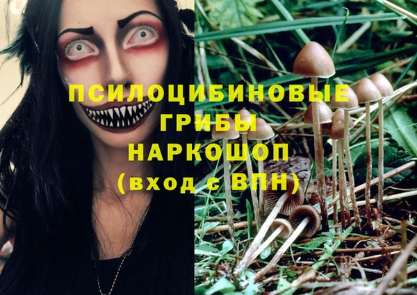 ECSTASY Сясьстрой
