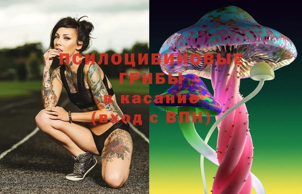 mdma Тайга