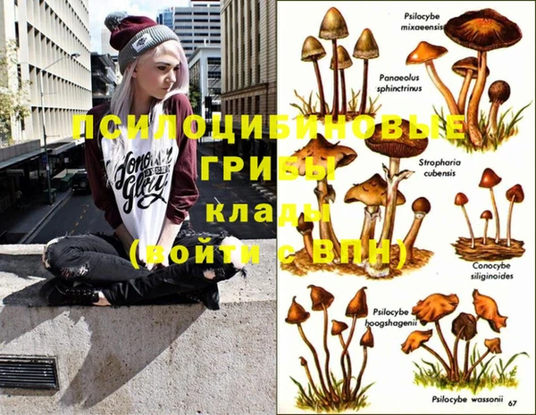 mdma Тайга