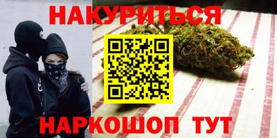 прущие грибы Будённовск