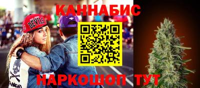 прущие грибы Будённовск