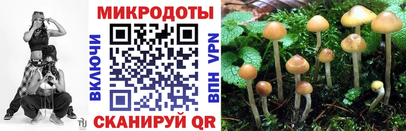 Галлюциногенные грибы MAGIC MUSHROOMS  Домодедово 