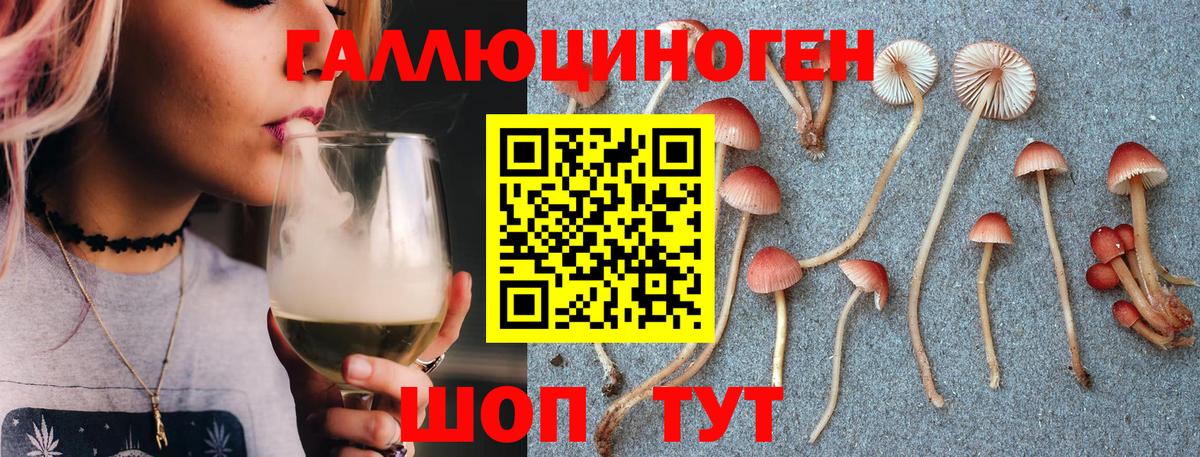 Домодедово  Галлюциногенные грибы прущие грибы  Галлюциногенные грибы мухоморы  Вход с VPN 