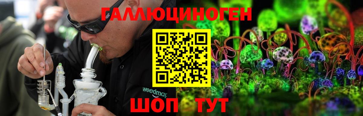 Галлюциногенные грибы Psilocybine cubensis Домодедово
